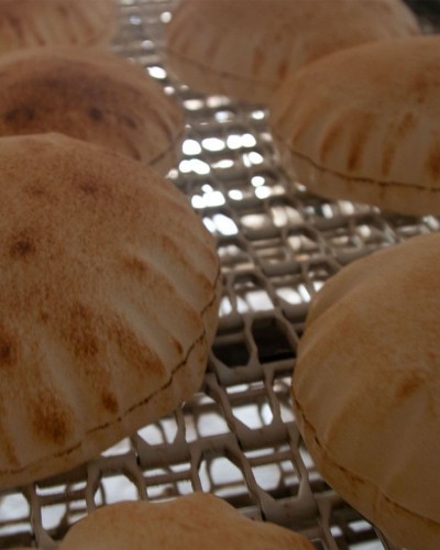 مشروع الخبز المجاني